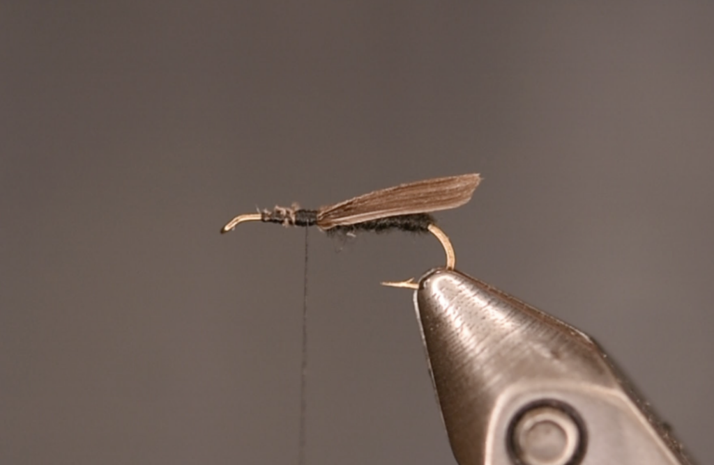 fly tying